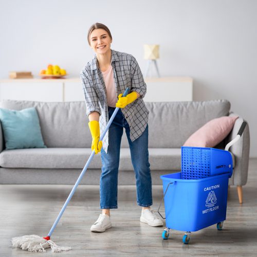 JANITORIAL COURSE 3 – MOPS AND SWEEPING EQUIPMENT